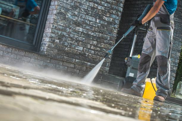Best Roof Cleaning and Mildew Removal in Grand Rapids, MN